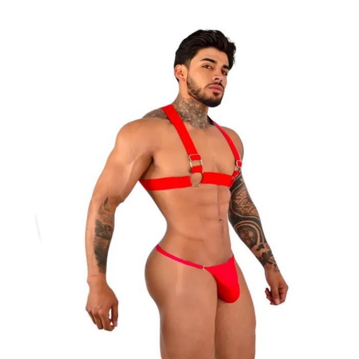 Lenceria Er tica Masculina Arnes Para Hombre Sexy Red Luegopago